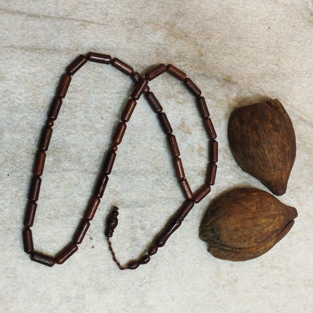 سبحة كوك كبسولة غامق 33 خرزة مقاس 16 مللي - الصورة 2